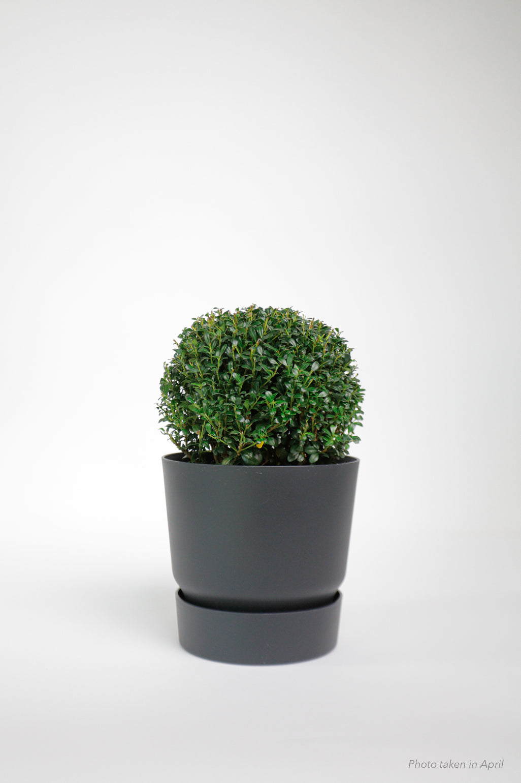 products/SotoProductShootLowQ-2719_009d67c6-1797-4d44-b0dd-c576c8a4d8e3.jpg
